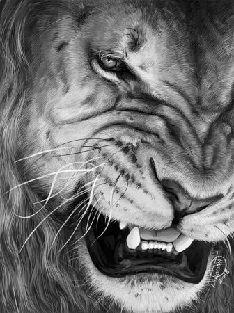 Оскал на заставку