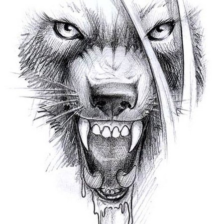 Оскал рисунок