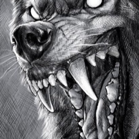 Эскизы татуировок волк с оскалом