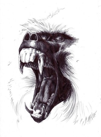 Оскал зверя эскиз