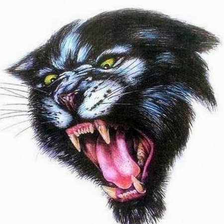 Пантера рисунок
