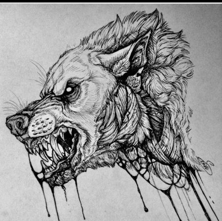 Волк эскиз
