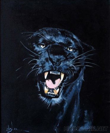 Черная пантера оскал