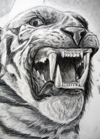 Оскал рисунок карандашом