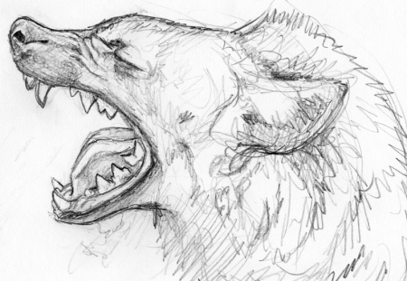 Хищные животные карандашом