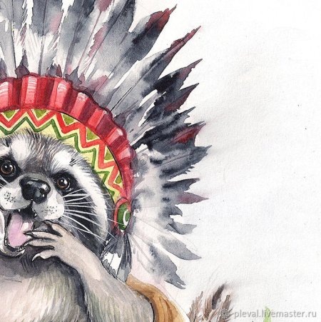 Енот индеец арт