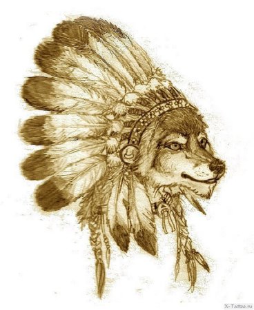 Волк в индейской шапке