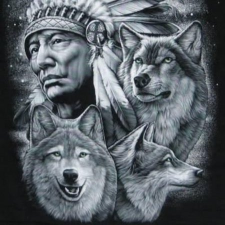 Волк индеец