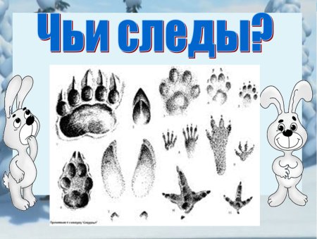 Дидактическая игра "чей след?"