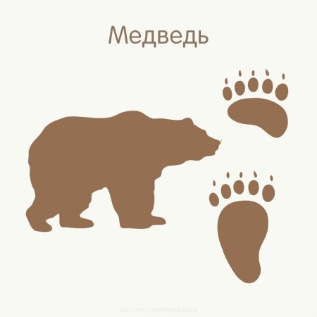 Следы диких животных