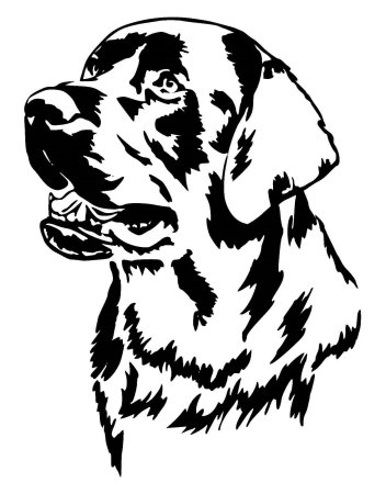 Трафареты для выжигания по дер