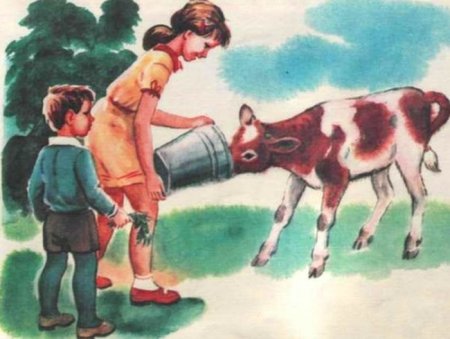 Забота о домашних животных рисунки