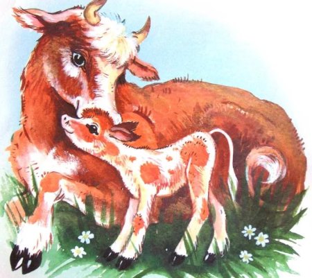 Картина корова с теленком