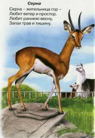 Серна арт