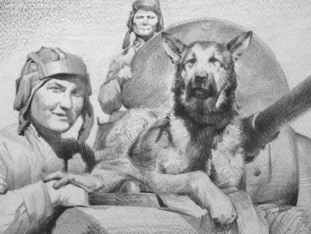 Рисунки животных на войне