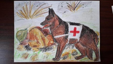 Животные на войне собака санитар