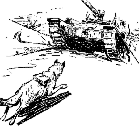 Собаки истребители танков ВОВ