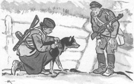 Раскраска собаки на войне