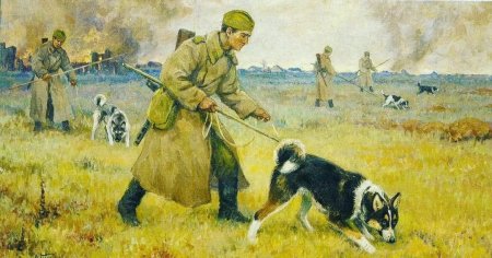 Комаров а.н. «собаки-миноискатели»