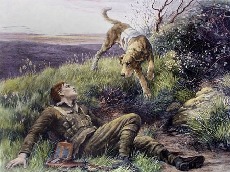 Собаки в войне в живописи