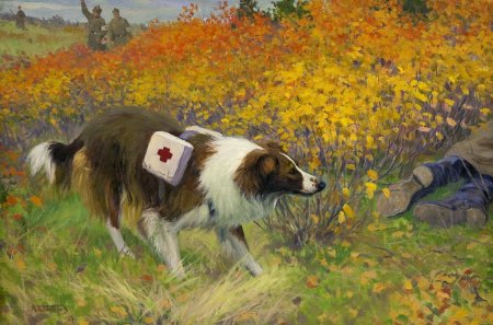 Собаки-санитары в Великой Отечественной войне