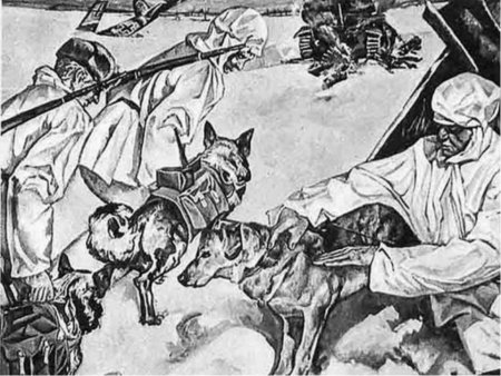 Собаки подрывники танков второй мировой войны погибали