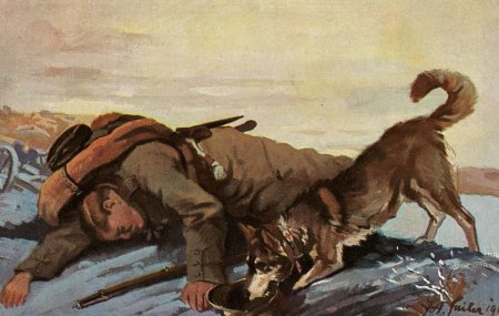 Собаки-санитары в Великой Отечественной войне