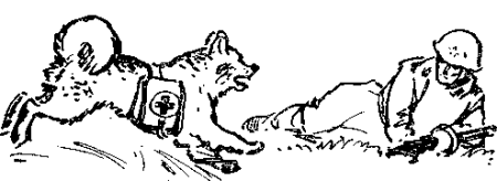 Собаки во время Великой Отечественной войны рисунки