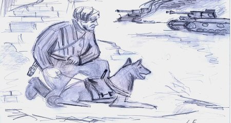 Собаки на войне рисунки детей