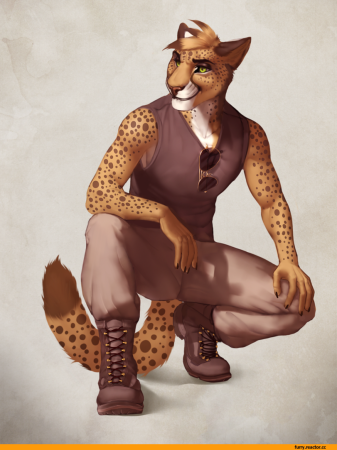 Фурри самец леопард