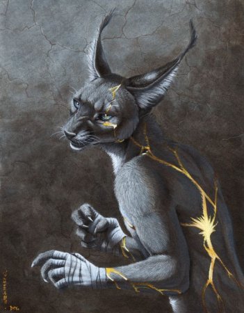 Каракал каджит