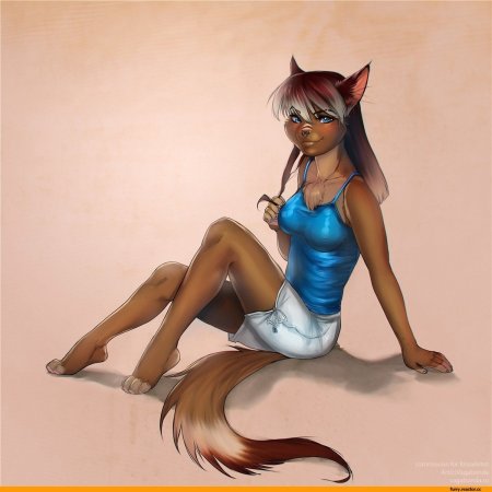 Фурри кошка