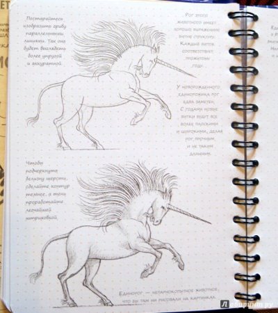 Sketchbook. Фантастические существа