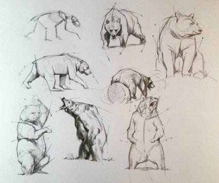 Готтфрид Баммес изображение животных