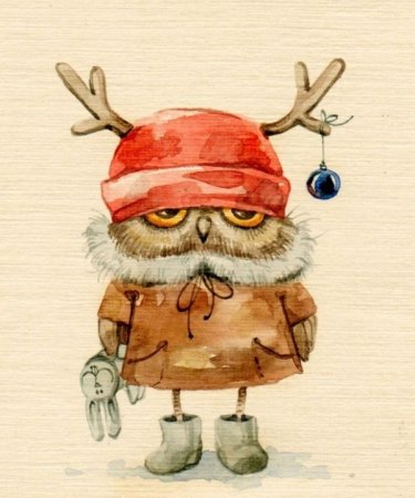 Инга Пальцер Совы