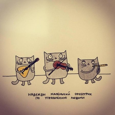 Эркюль Ван вулфвинкль