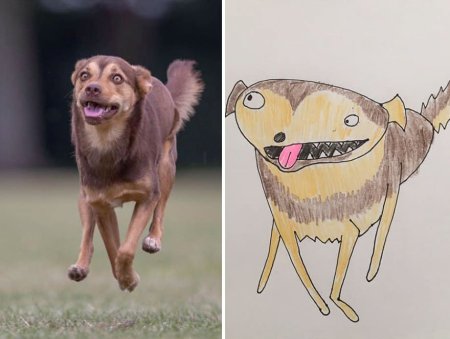 Смешная птица рисунок