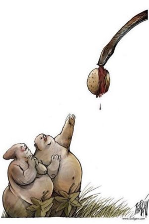 Совмещение животных рисунки