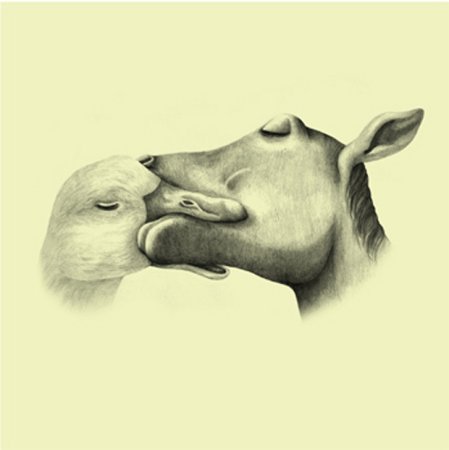 Смешные стихи