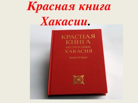 Животные Хакасии занесенные в красную книгу