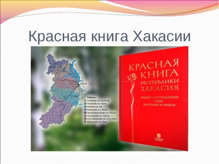 Рисунки редких животных