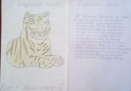 Редкие животные Хакасии