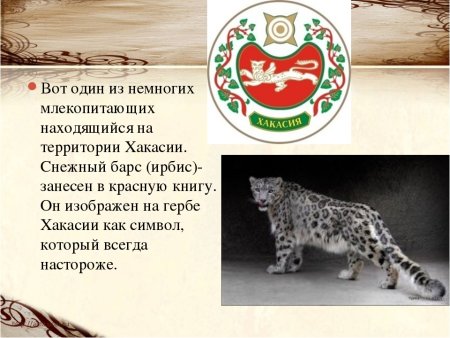 Осетинский снежный Барс