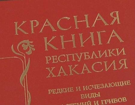 Растения и животные рисунок