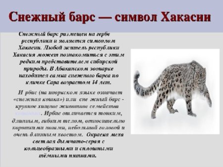 Красная книга школа Барс
