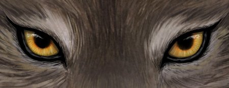 Нарисованные Волчьи глаза