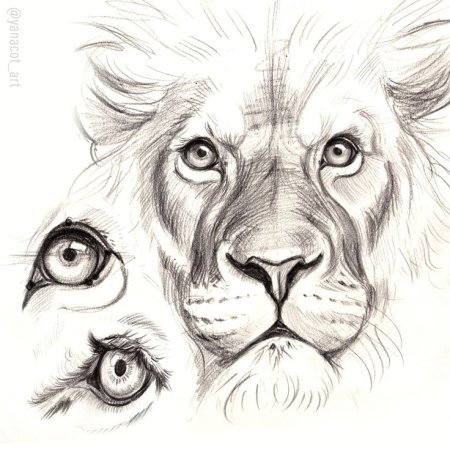 Нарисовать животный взгляд