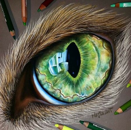 Реалистичный кошачий глаз