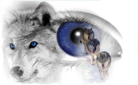 Глаза волка у человека