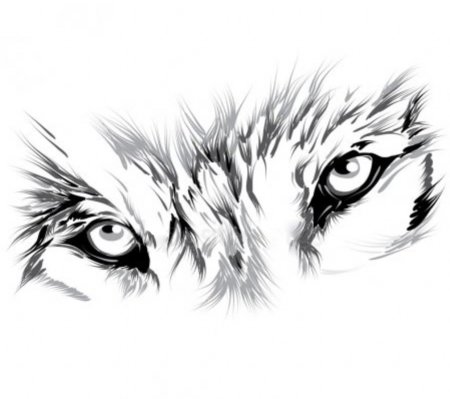 Глаза волка рисунок карандашом